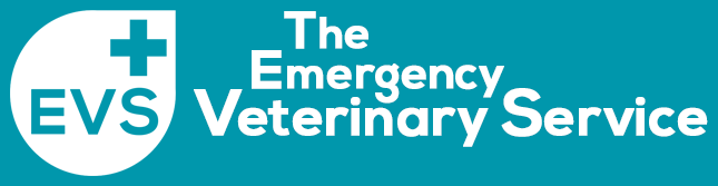 Emergency Vet Services